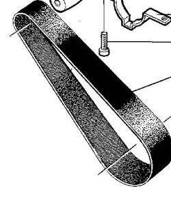 Drivrem til Electrolux Assistent (312 mm Ø x 25 mm) | Støvsugerposen